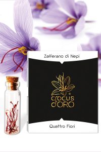 Crocus d'oro; zafferano di nepi; zafferano card; quattro fiori